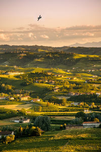 Colline d'estate al tramonto