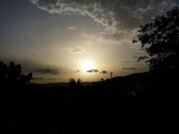 Silhouette of trees at sunset