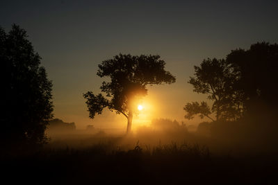 Silhouette trees on field against sky during sunset