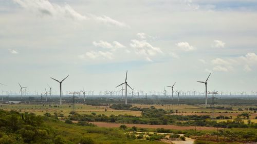 Wind turbines in the field