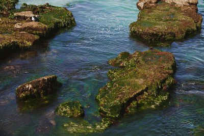 High angle view of rocks in lake