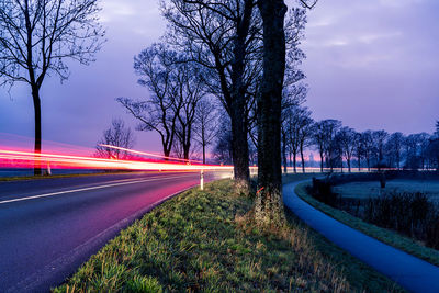 Road amidst plants and trees against sky in city