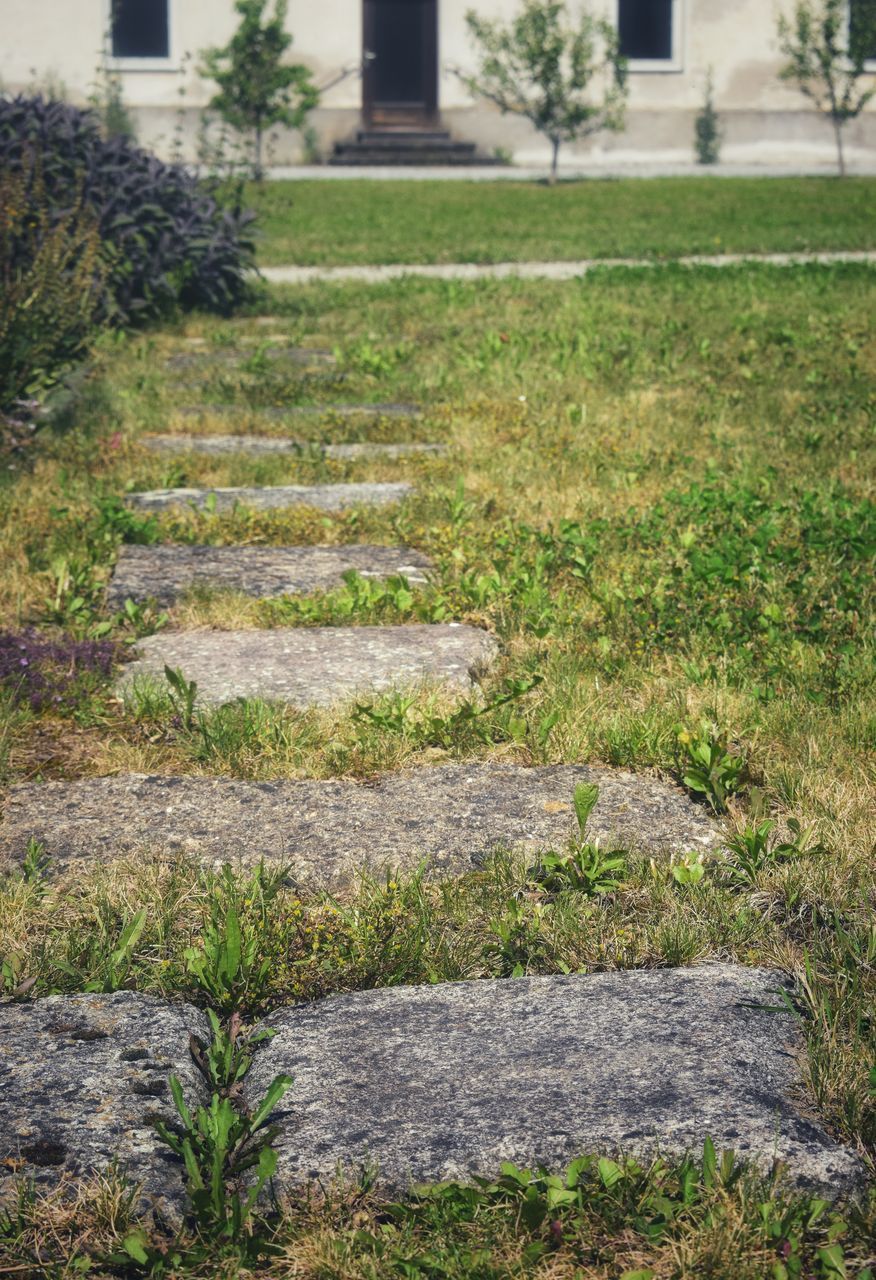 FOOTPATH IN FIELD