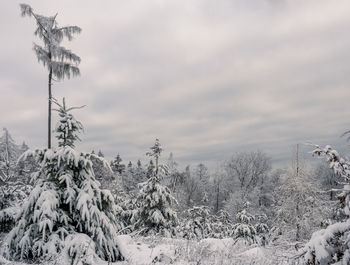 Scenic view of snow covered land against sky
