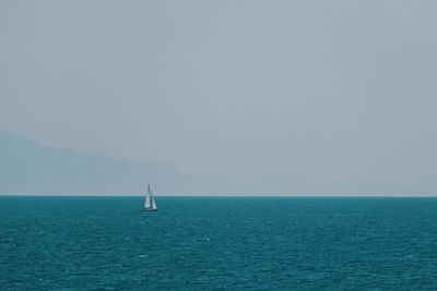 Sailboat sailing in sea against clear sky