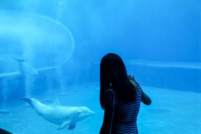 Rear view of fish swimming in aquarium