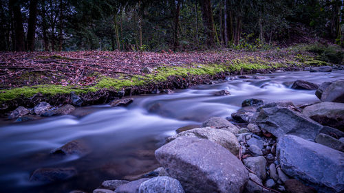 Stream flowing through rocks in forest