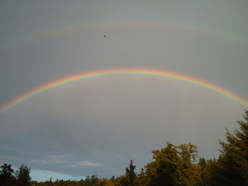 Low angle view of rainbow over trees