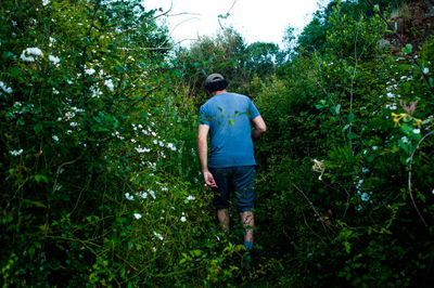 Rear view of man walking in forest