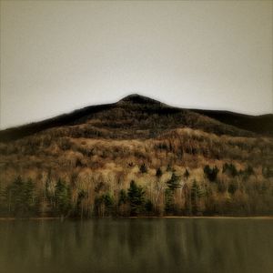 Scenic view of landscape