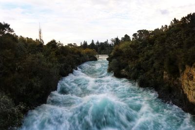 Scenic view of river amidst trees against sky