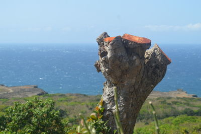 Close-up of tree by sea against sky