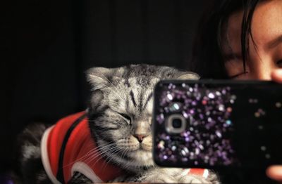 Close-up portrait of a cat at home