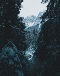 View of snow covered mountain against sky