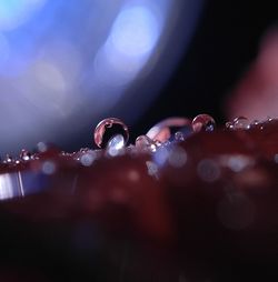 Close-up of illuminated water