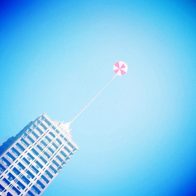 blue, clear sky, low angle view, copy space, day, no people, outdoors, sky, nature, vapor trail, tall - high, studio shot, purple, built structure, sunlight, high section, building exterior, pink color, flower, wind