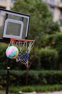 Close-up of basketball hoop