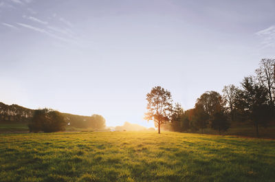 Scenic view of field against sky