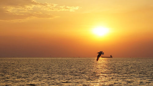 Silhouette person on sea against sky during sunset
