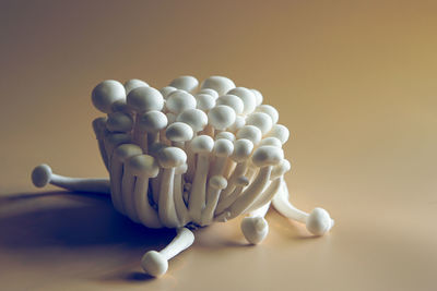 Close-up of white flowers on table