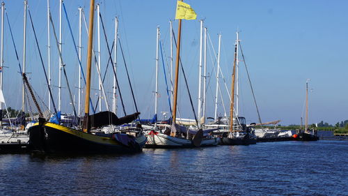 Sailboats moored in harbor