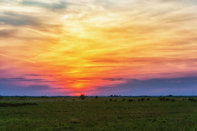 Scenic view of field against sky during sunset