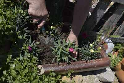 Midsection of person by potted plants