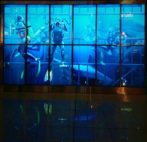 Men in aquarium