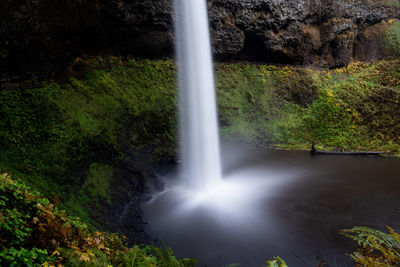 Scenic view of waterfall in forest