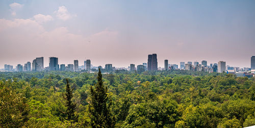 Panoramic view of trees and buildings against sky