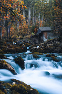 Scenic view of waterfall in forest