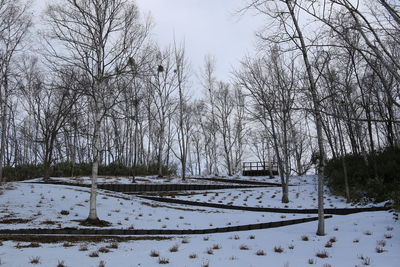 Bare trees on snow covered field against sky