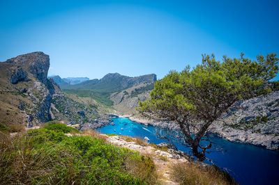 Cliffs near alcudia near cap de formentor in mallorca