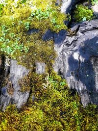 High angle view of water flowing through rocks