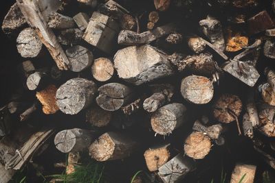 Full frame shot of logs in forest