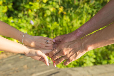 Midsection of couple hands on plant