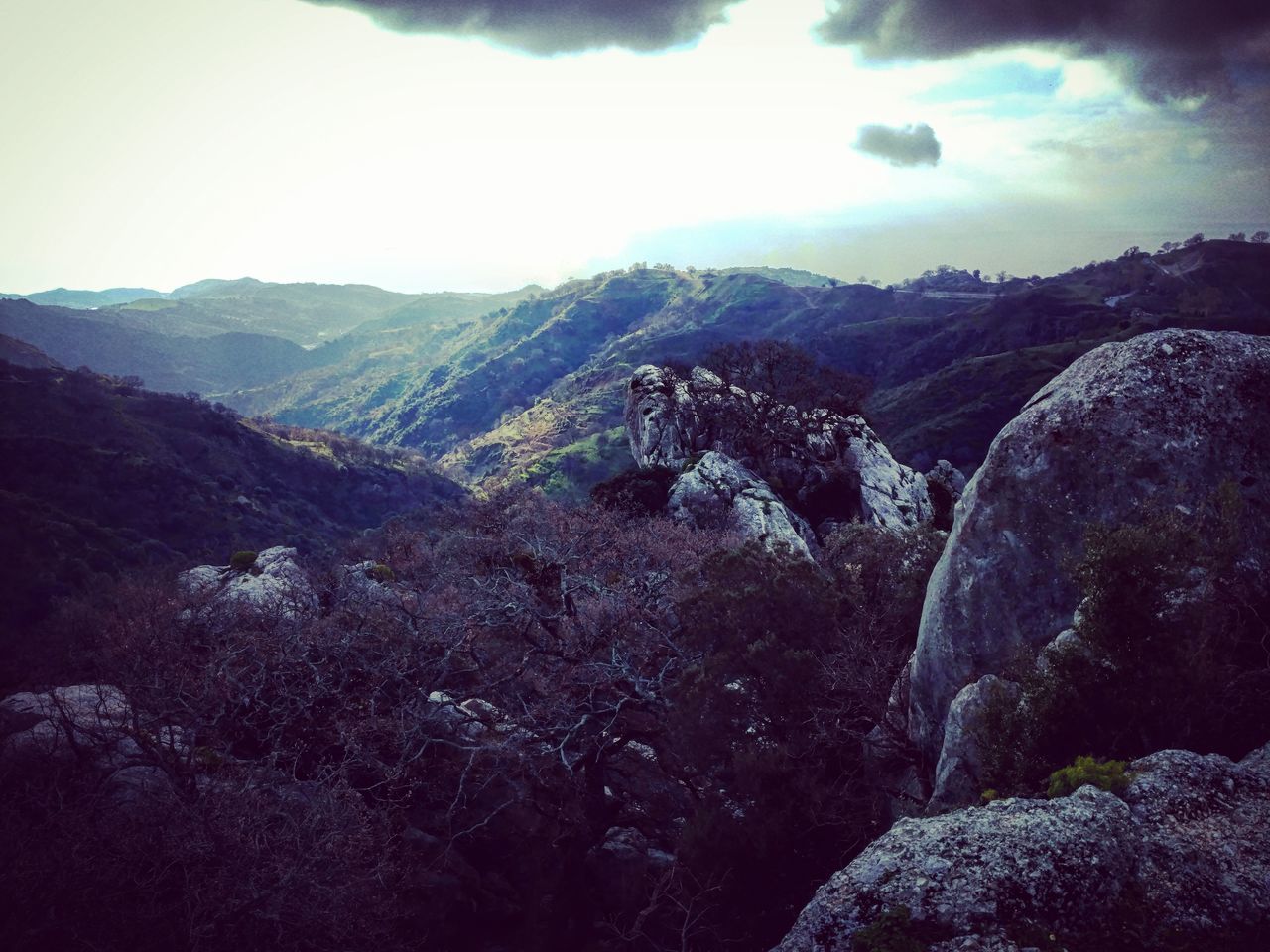 SCENIC VIEW OF TREE MOUNTAINS AGAINST SKY