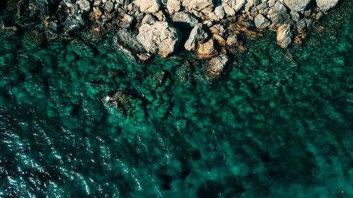 High angle view of rock