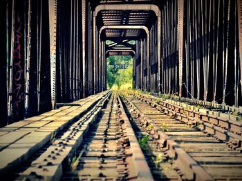 Railroad tracks amidst trees