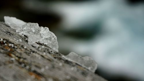 Close-up of snow