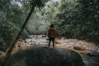 Rear view of man walking on rocks in forest