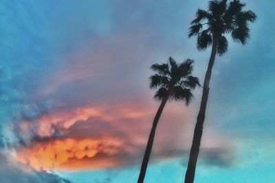 Low angle view of silhouette palm tree against sky