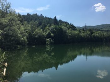 Scenic view of lake by trees against sky