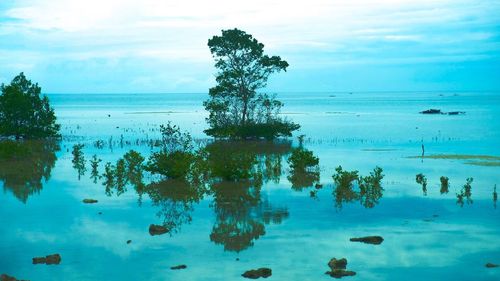 Scenic view of sea against blue sky