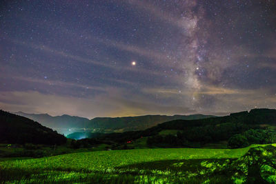 Rice fields and the milky way