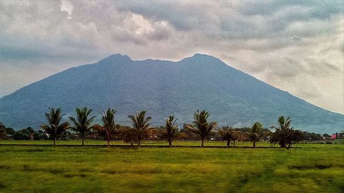 Scenic view of trees and mountains against sky