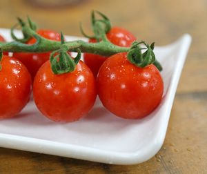 Close-up of tomatoes in plate