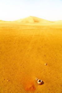 Scenic view of desert against sky