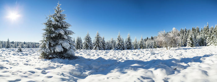 Panoramic shot of trees on snow covered field against clear blue sky