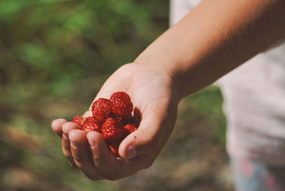 Close-up of hand holding strawberry